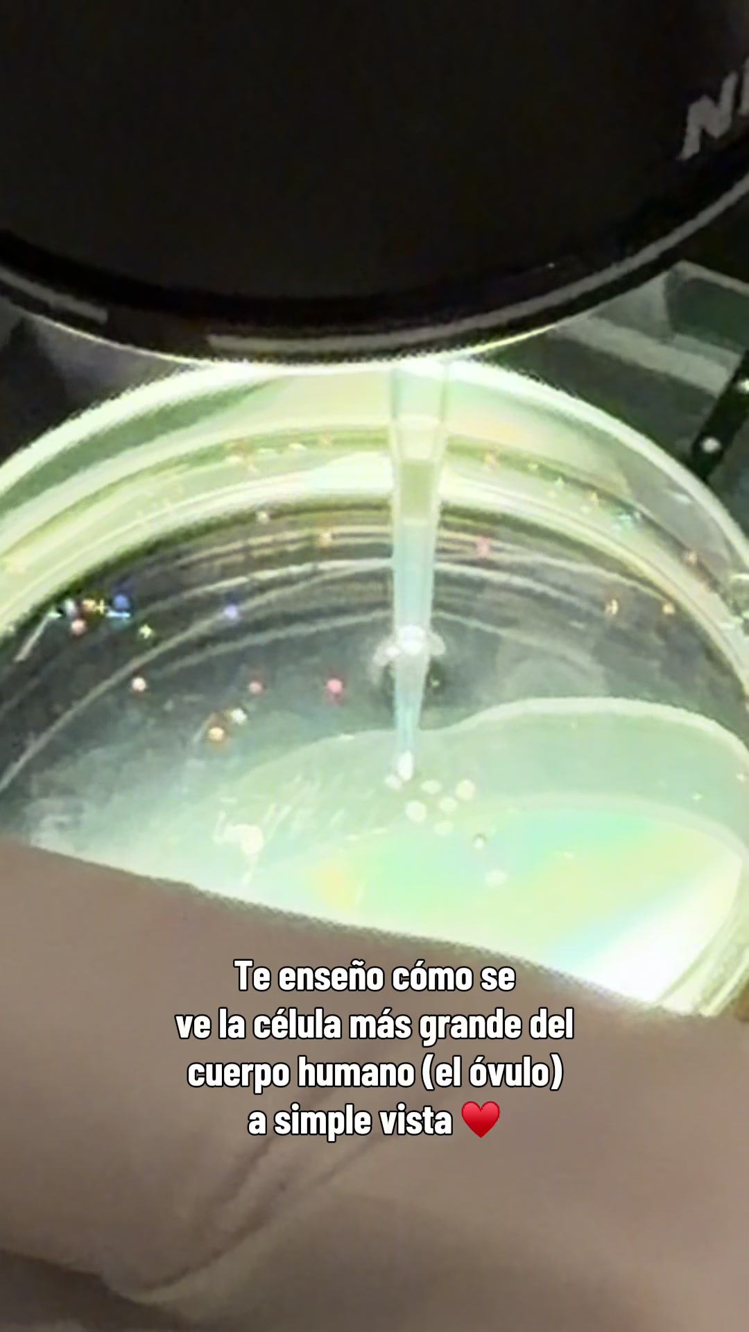@Isabel Salas