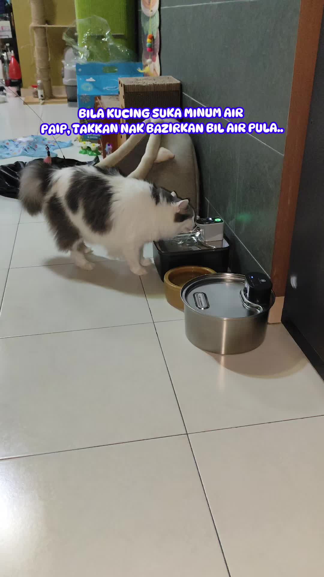 @Omma Kucing 🇲🇾🍉