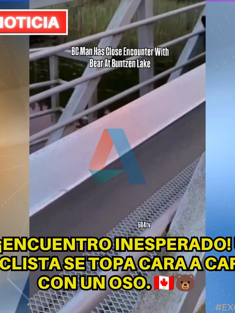 @Alternativas Tv