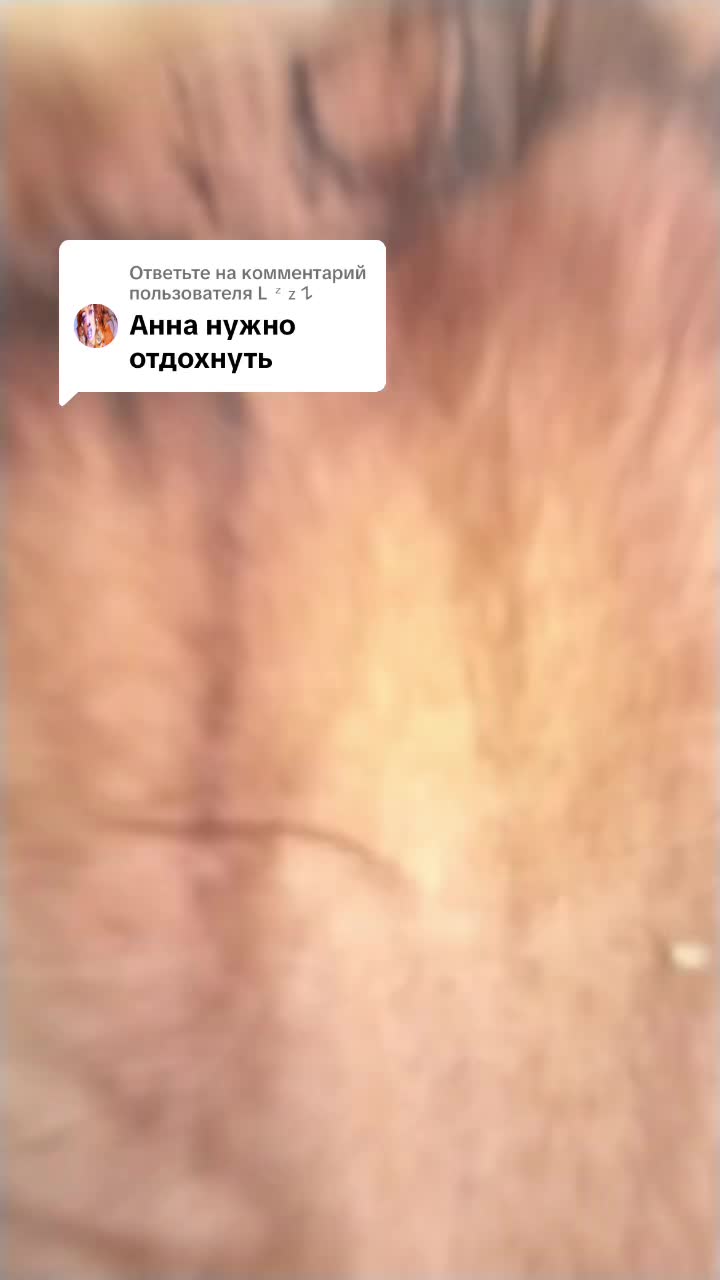 @user753674787