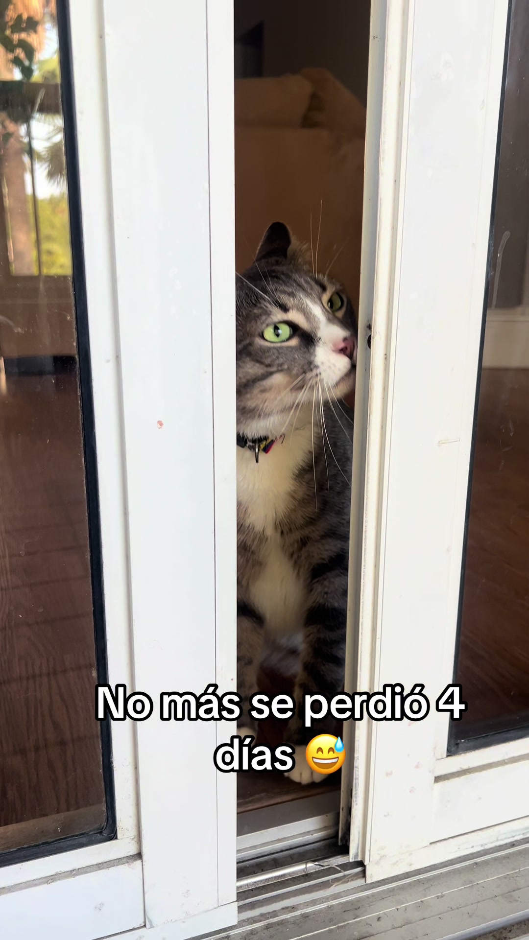 @michimatiass