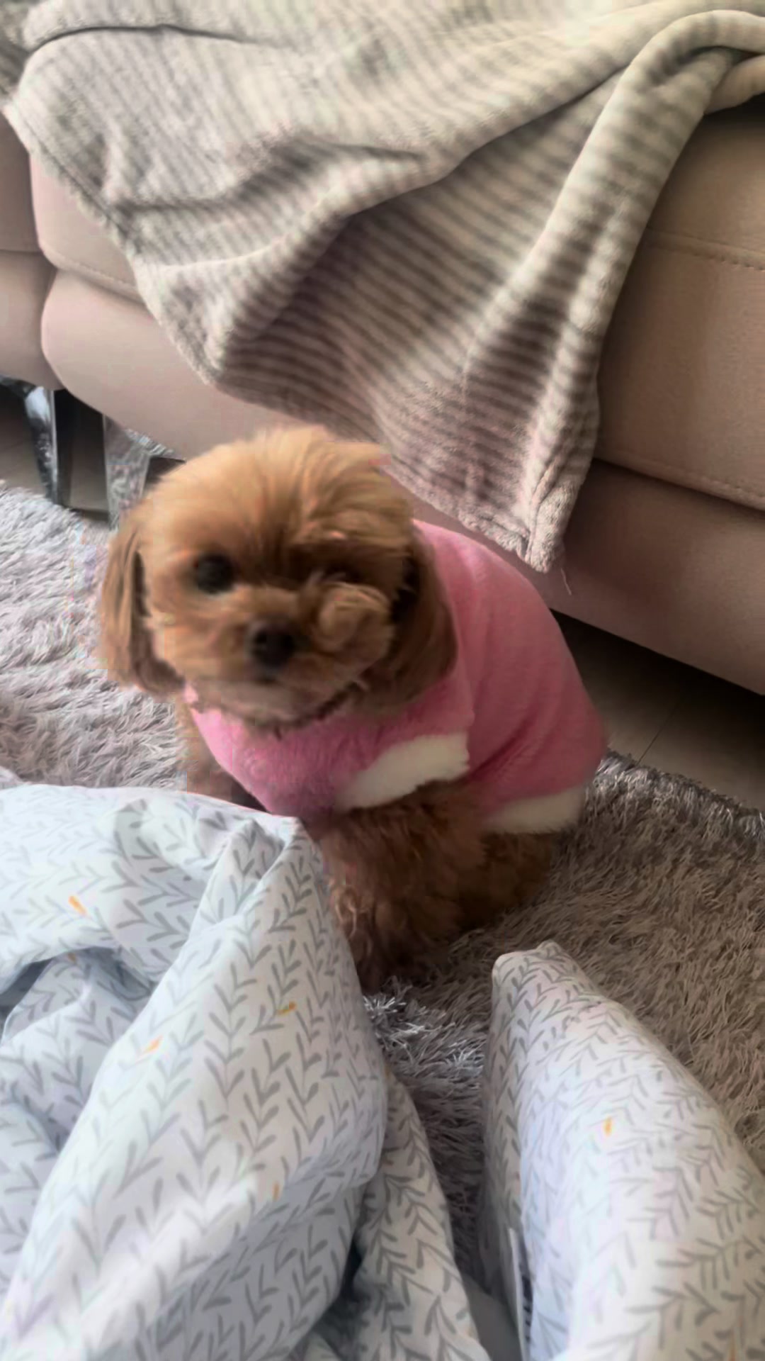 @꼬미