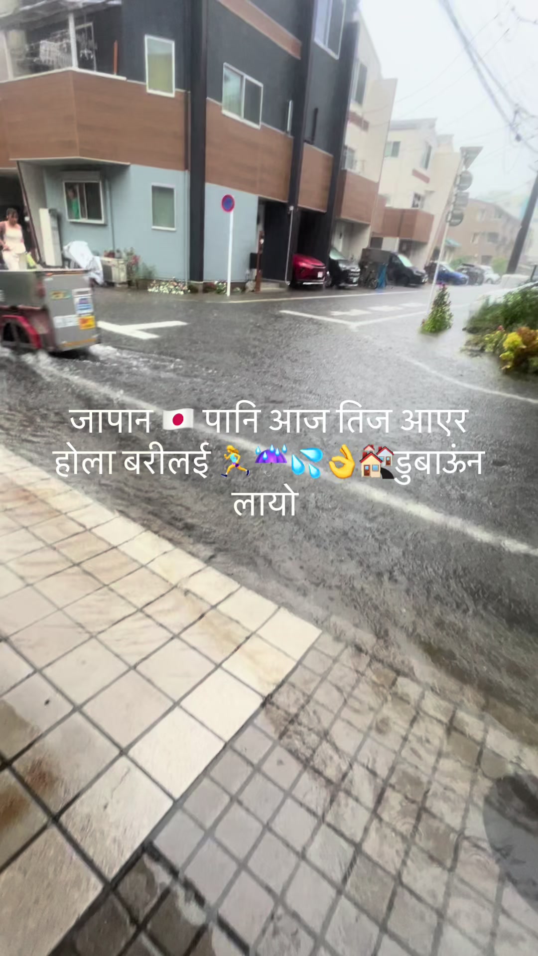 @Janaki Khattri