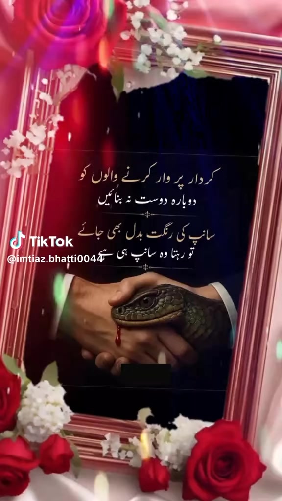 @Shumaila Akhtar