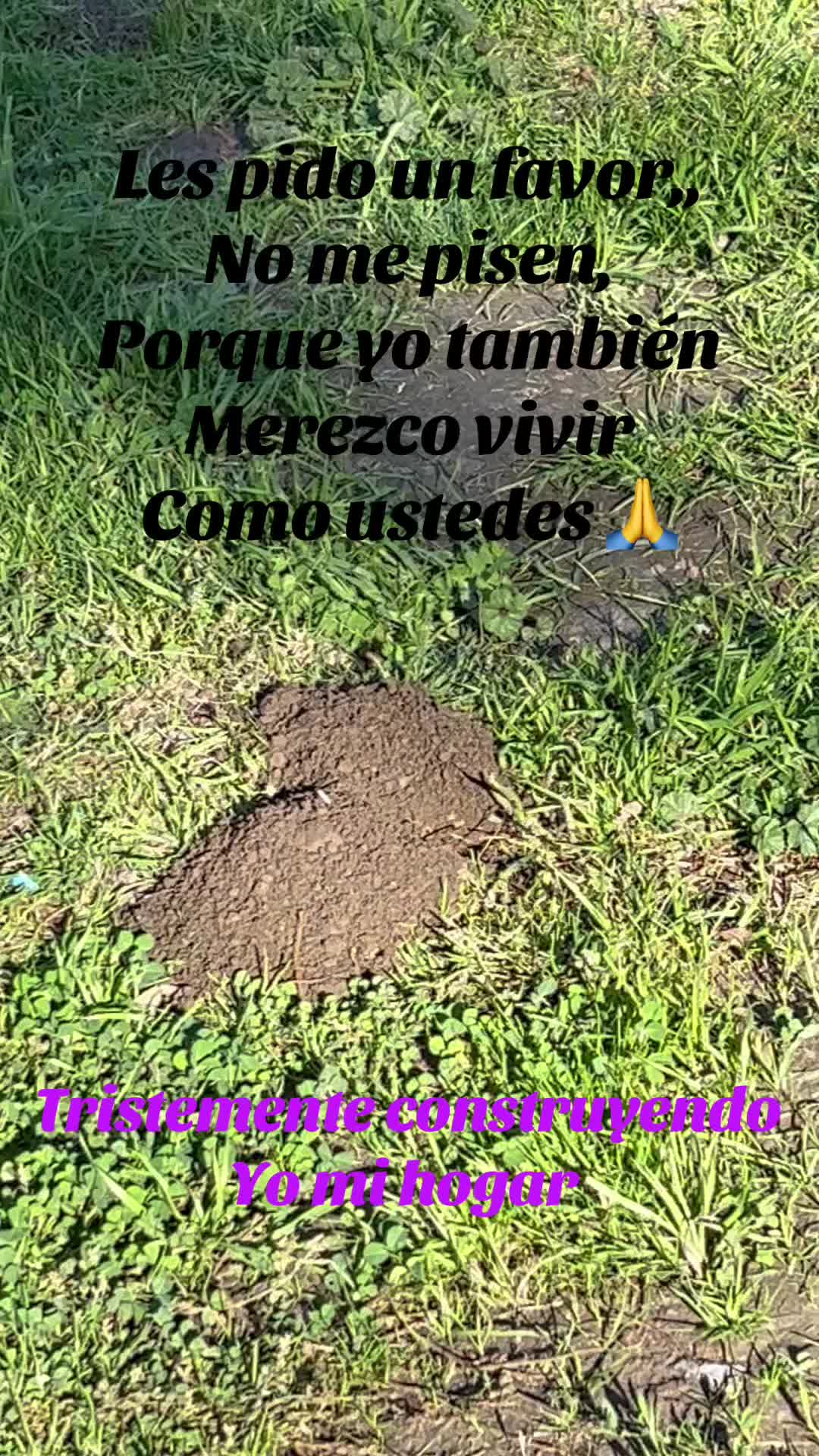 @Vidal, con amor