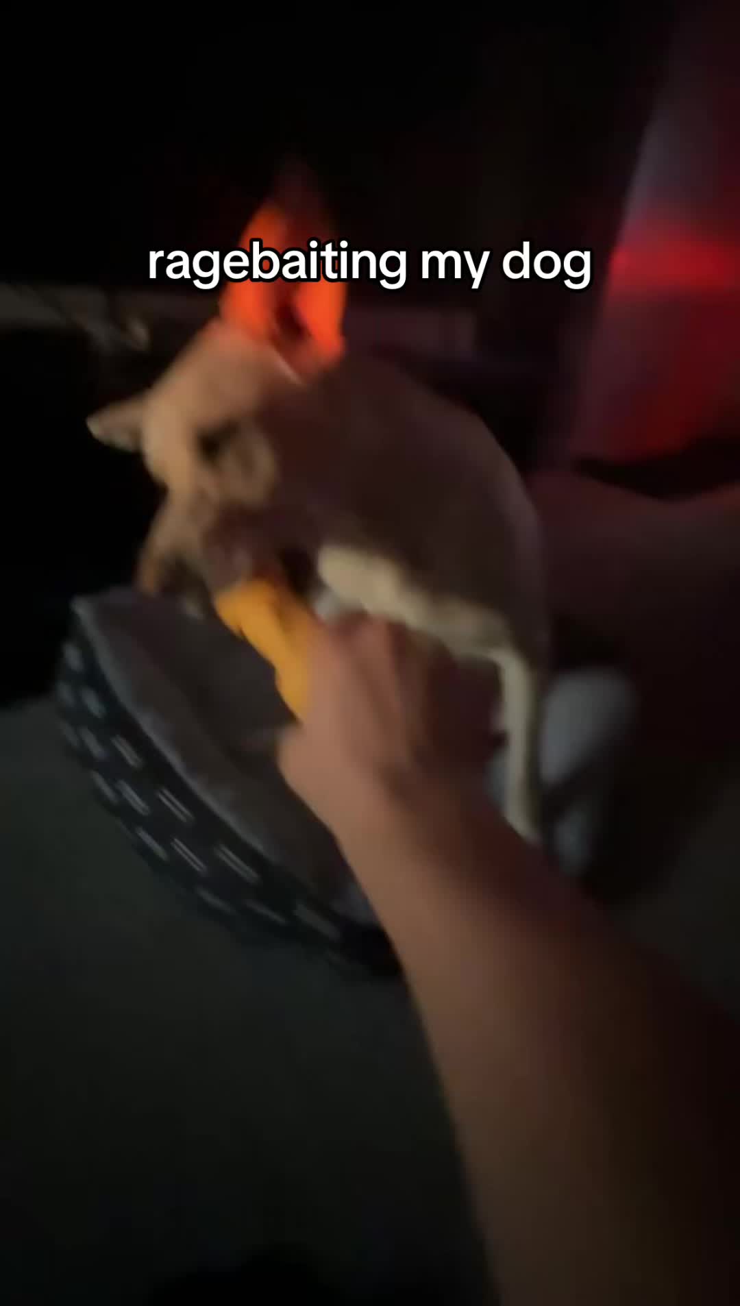 @Bacon🥓