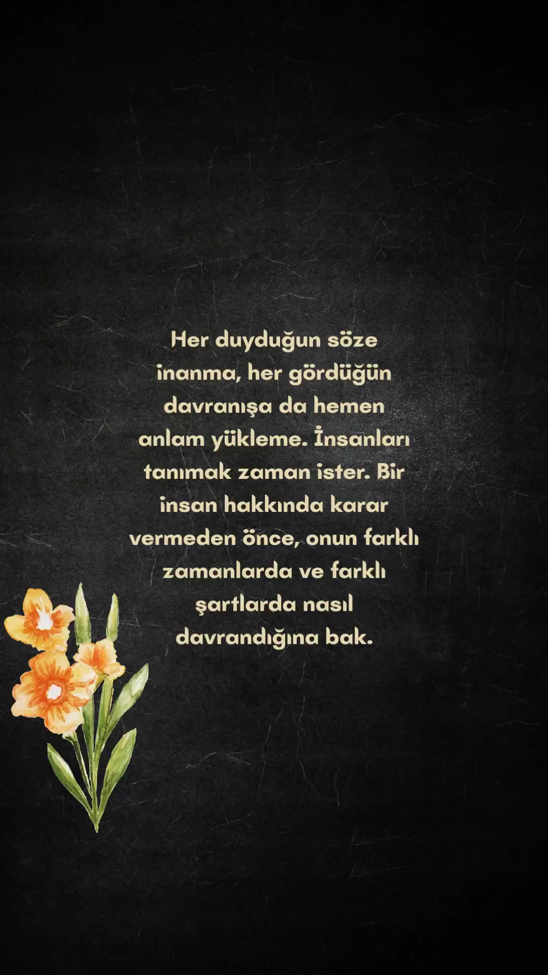 @S&Ouml;ZL