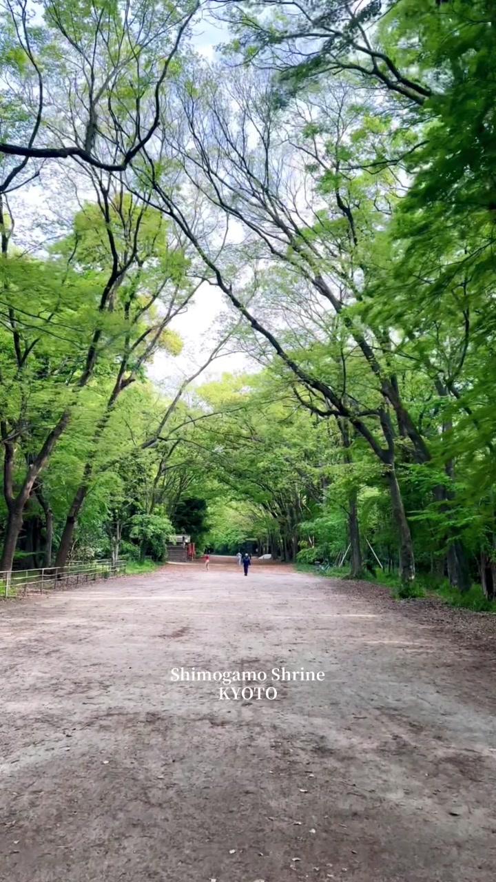 @Tanuki.no.mori