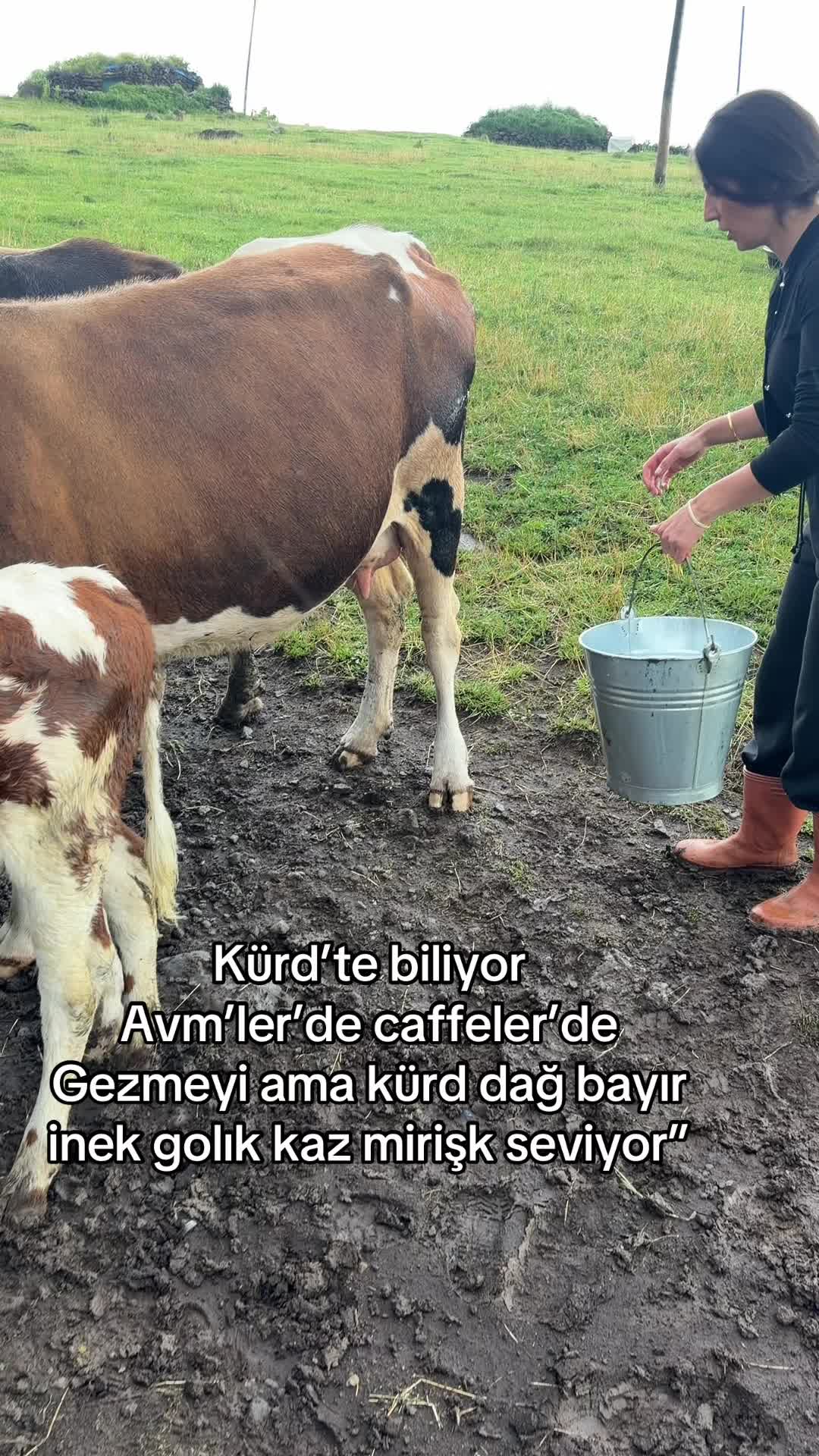 @beroo75