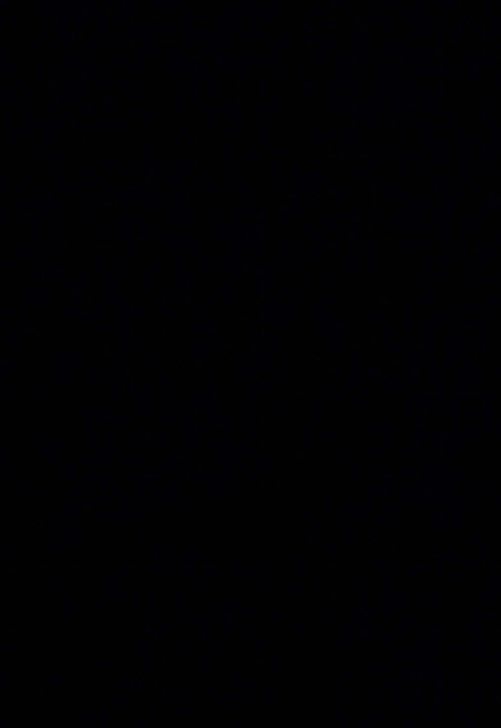 @addieevans.mainn