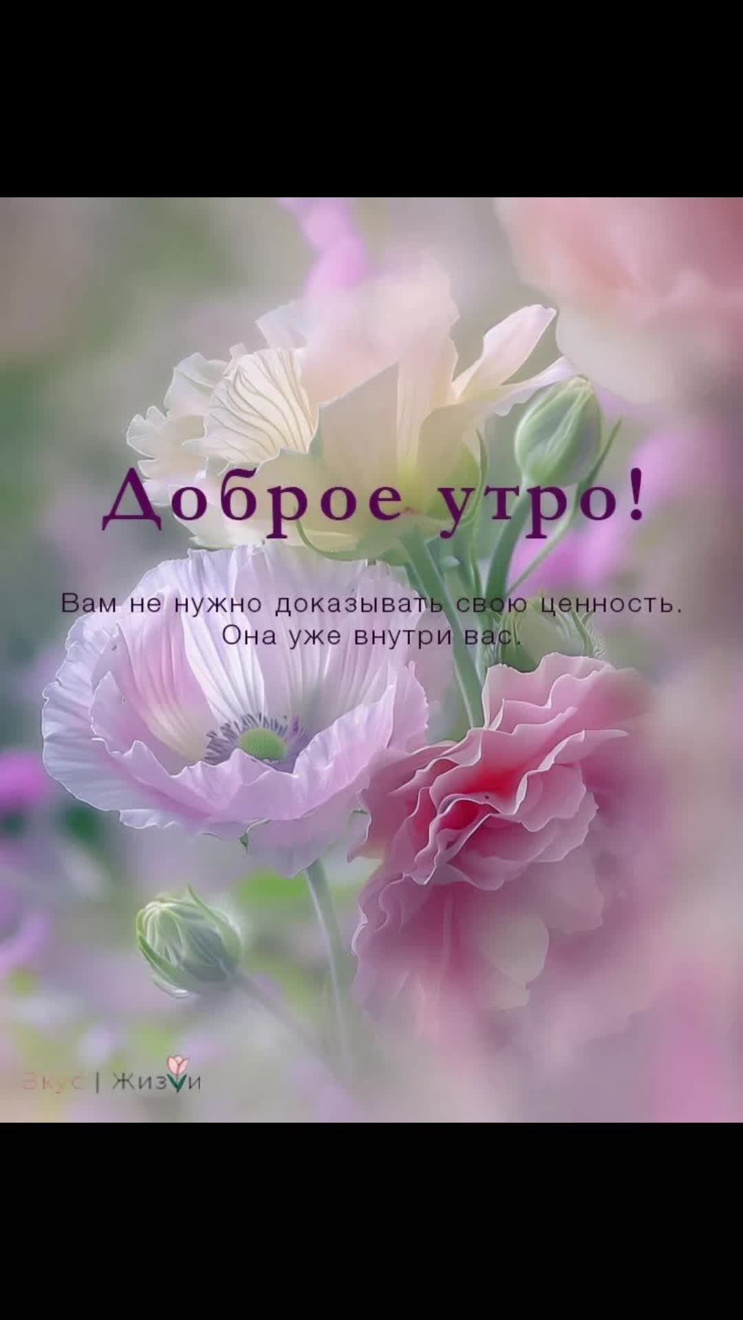 @Маргарита Шнейдерова