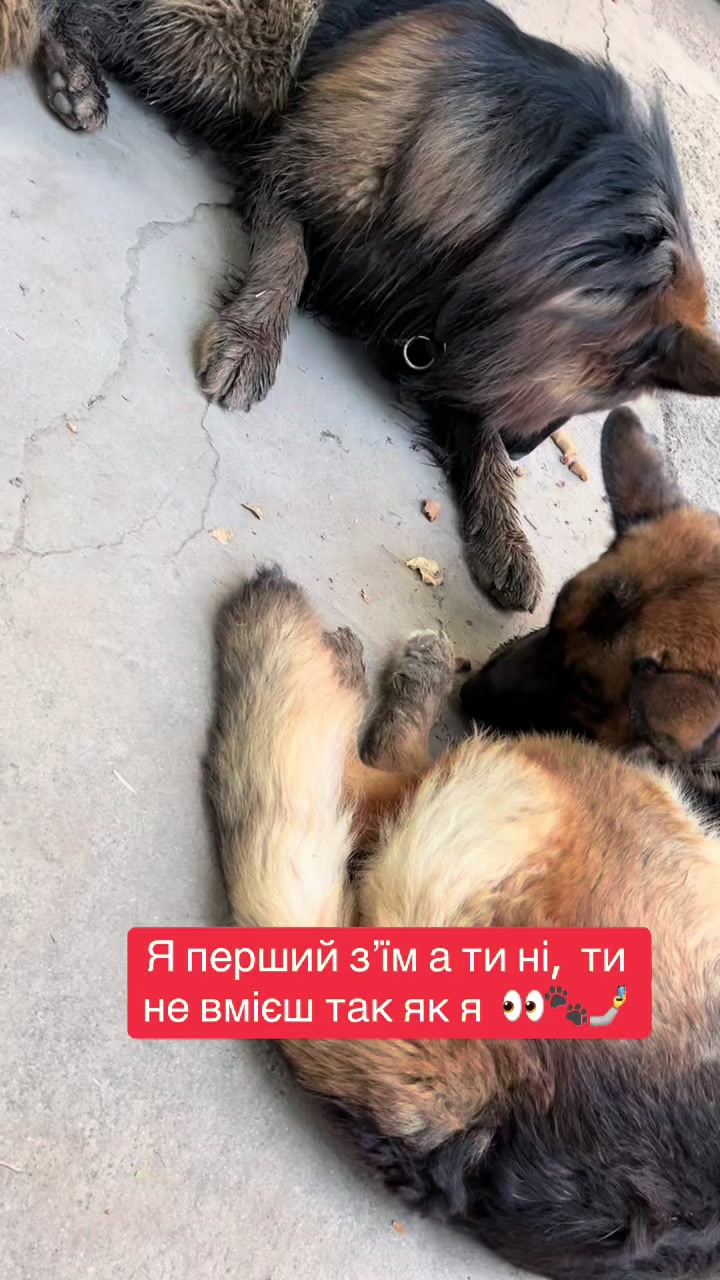 @Наташа Мазур.