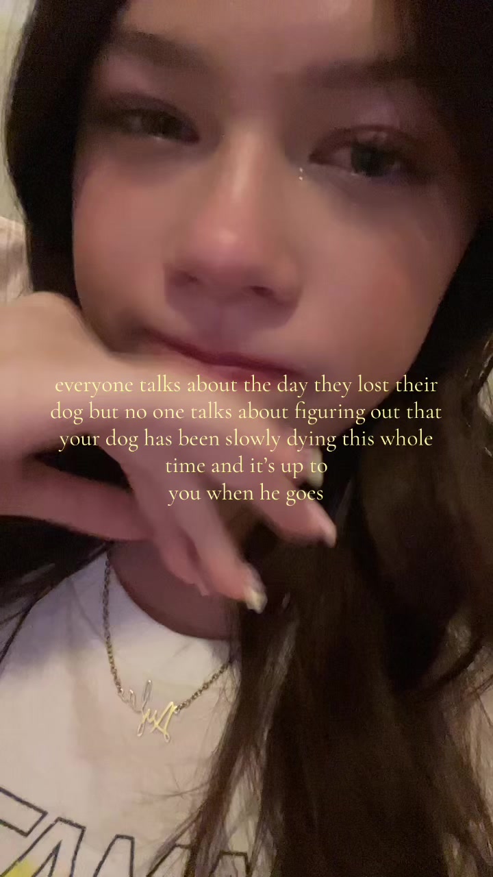 @aylaspam😏