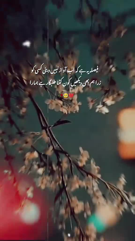 @Tayyab Khan