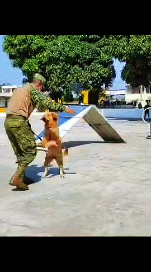 @HEROICO-PRO®🥏