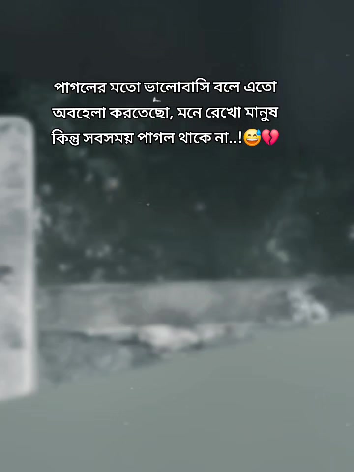 @Sanzida Nahar