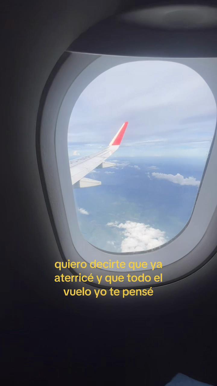 @Mariana Zurita