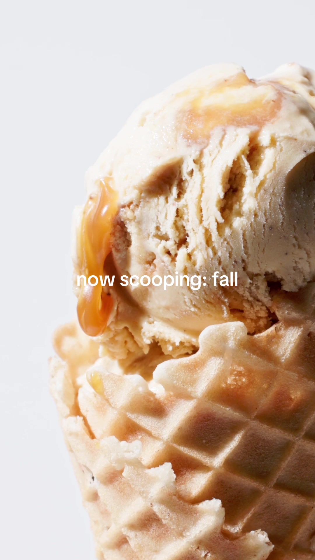 @Jeni’s Splendid Ice Creams