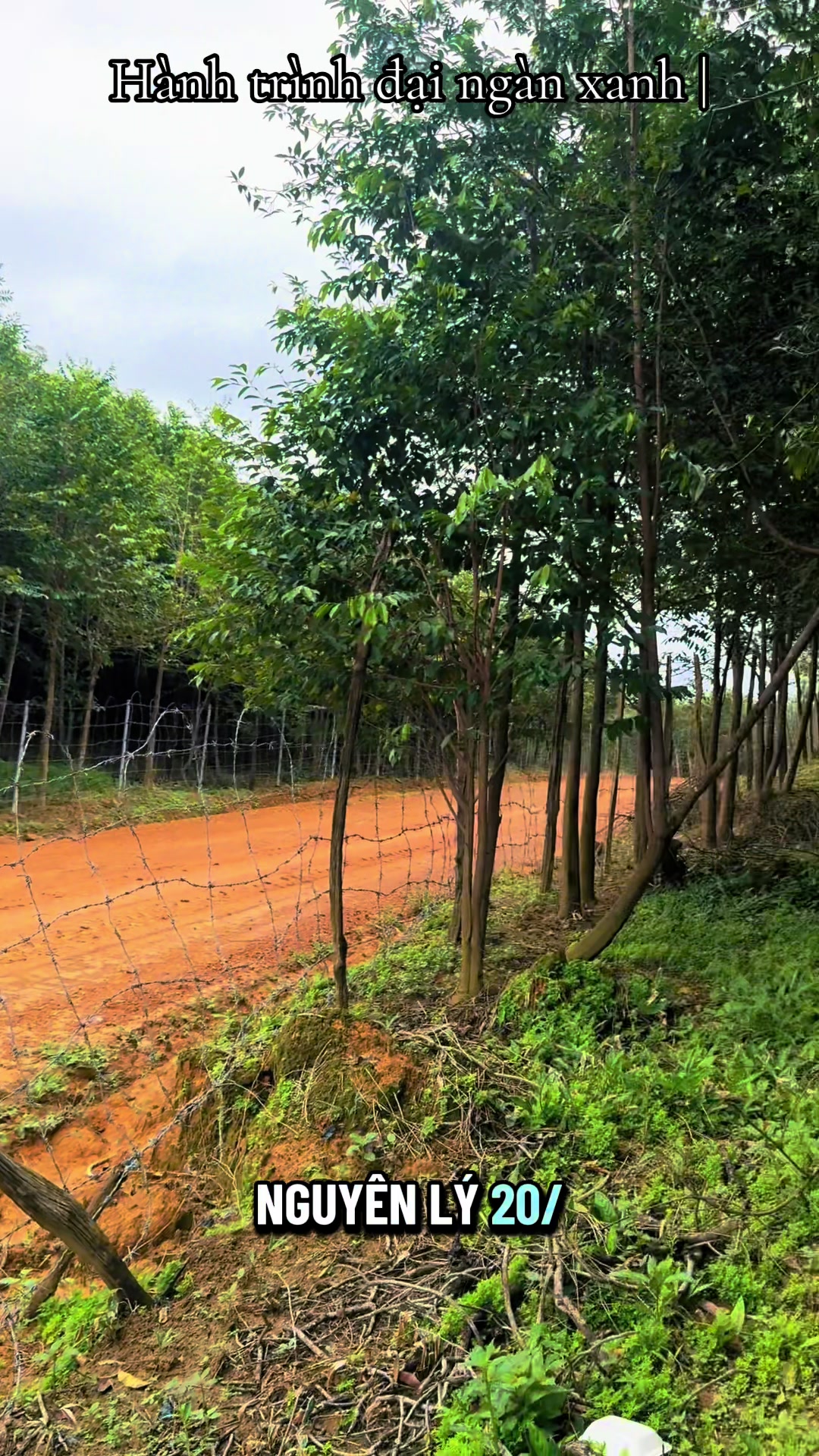 @Dó Đen Việt !