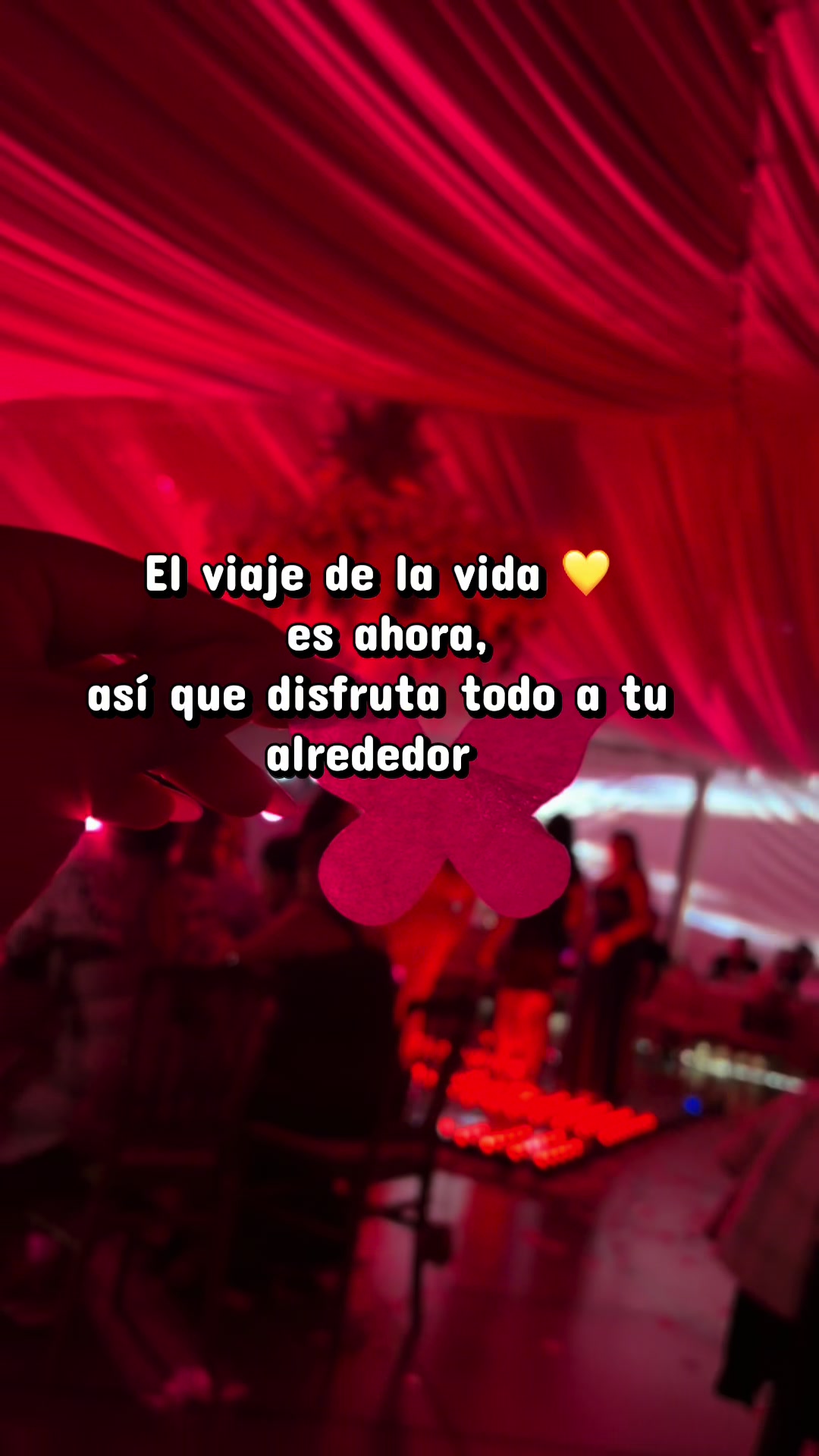 @1111dilop