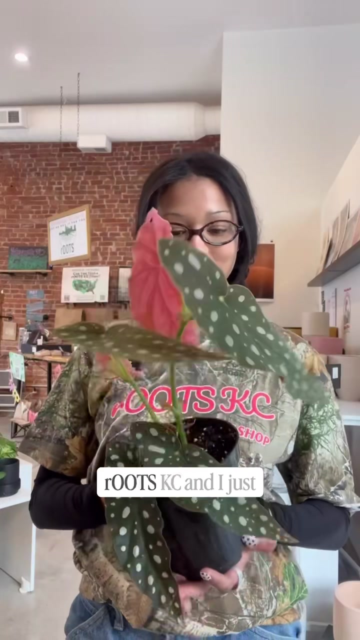 @Rootskc