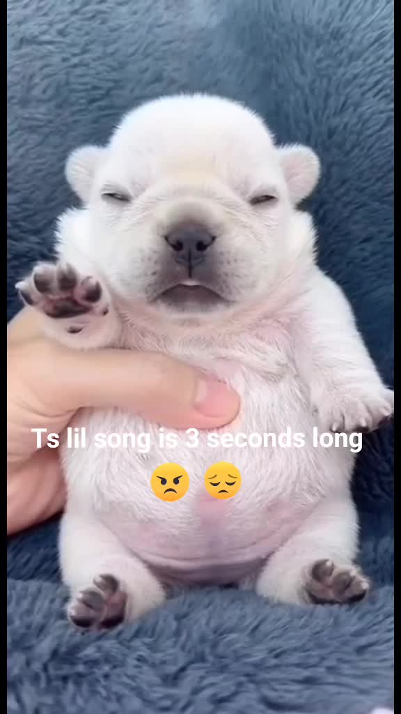 @MisterRobo