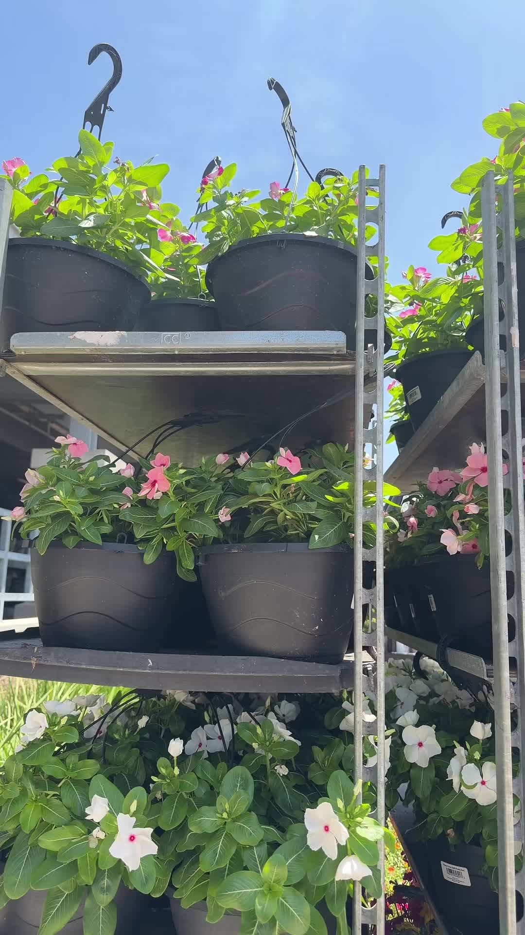 @ھير سنڌي🦋