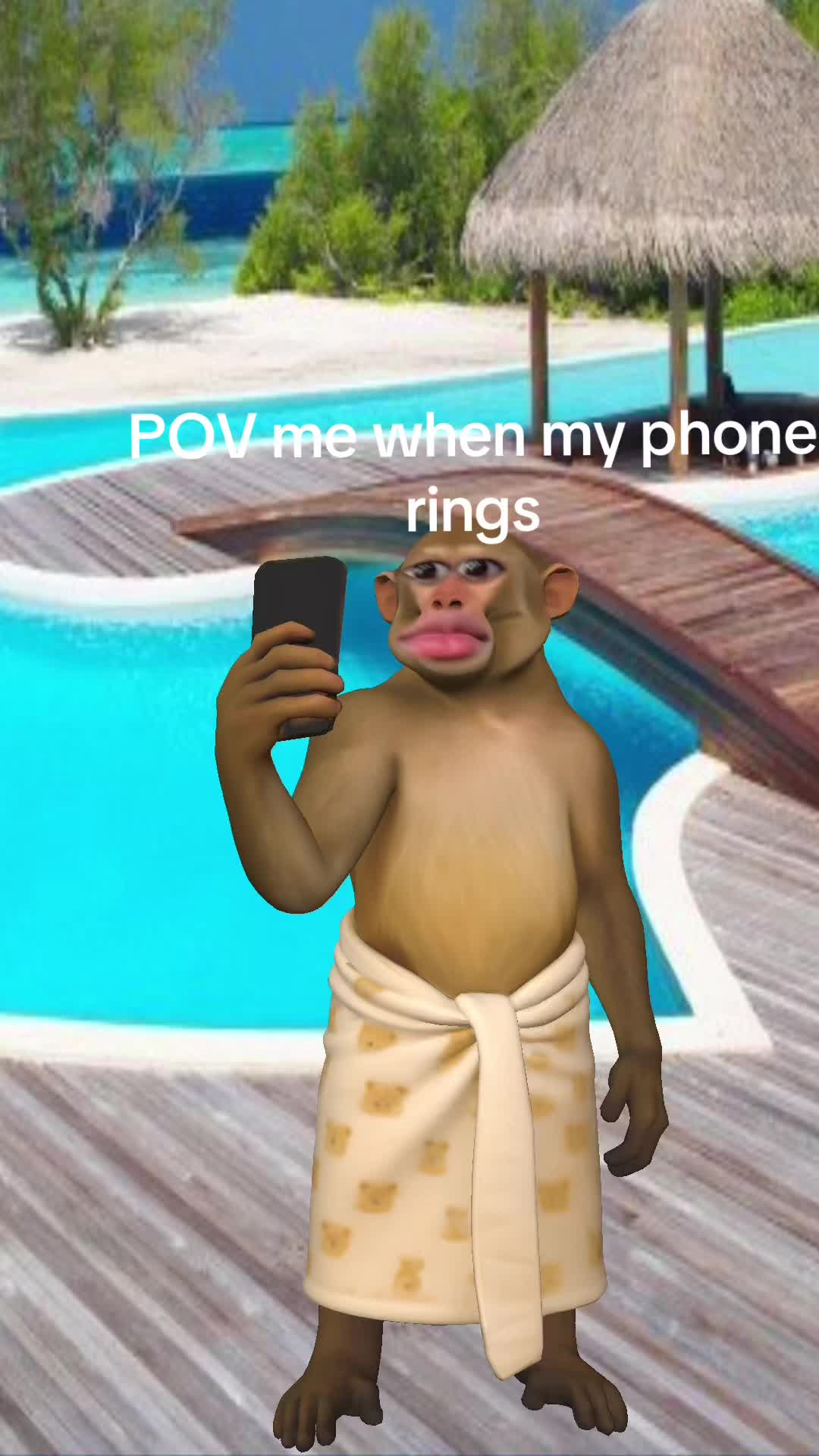 @bear