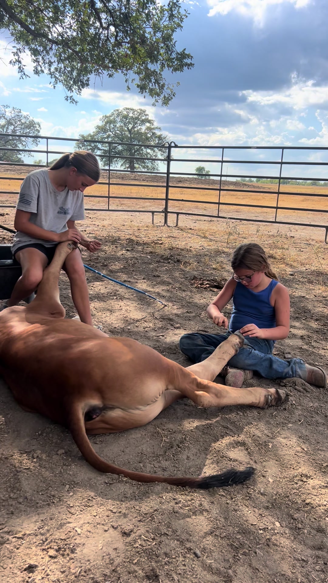 @The V6 Ranch