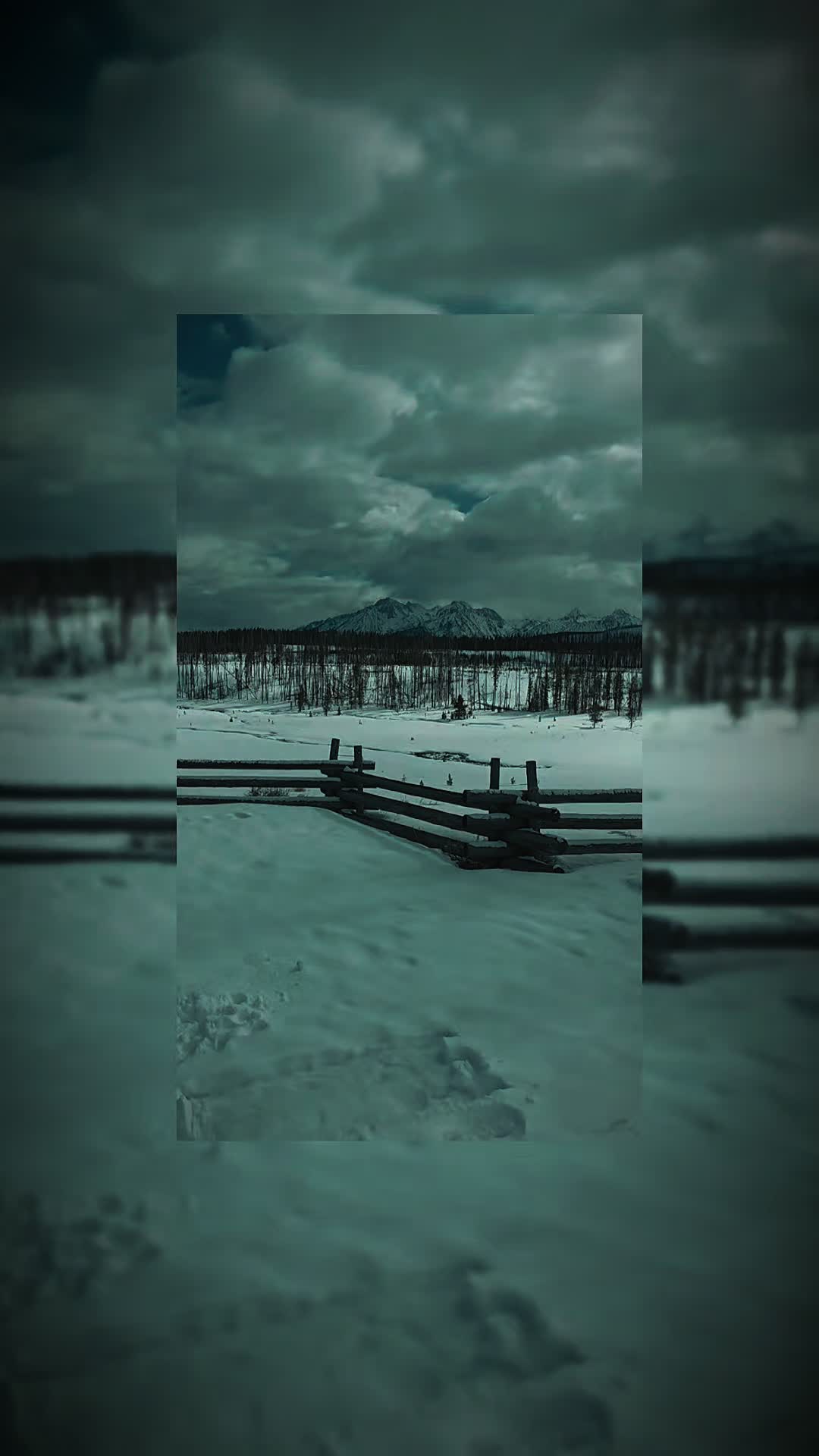 @Idaho1984