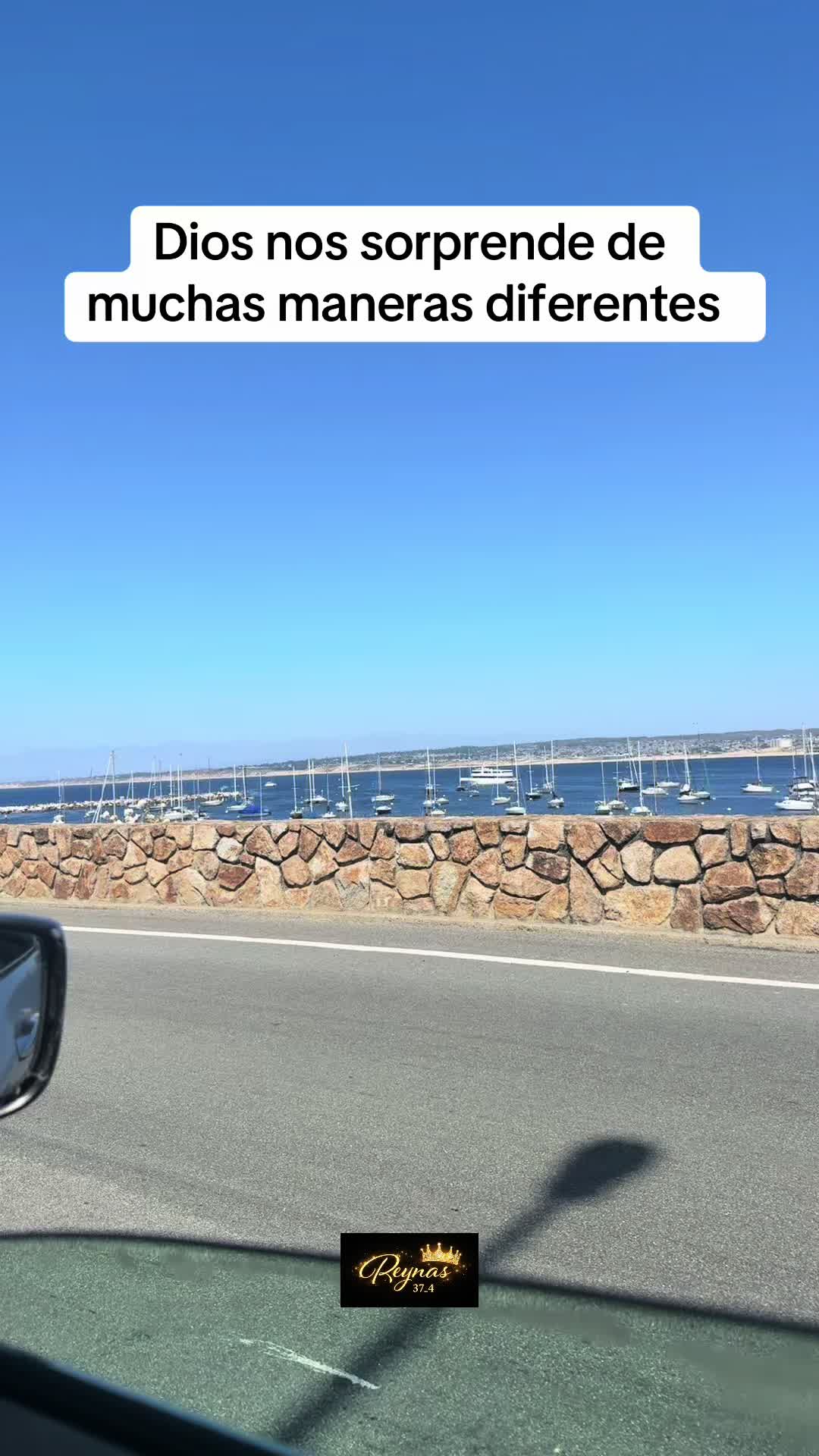 @reynas37:4