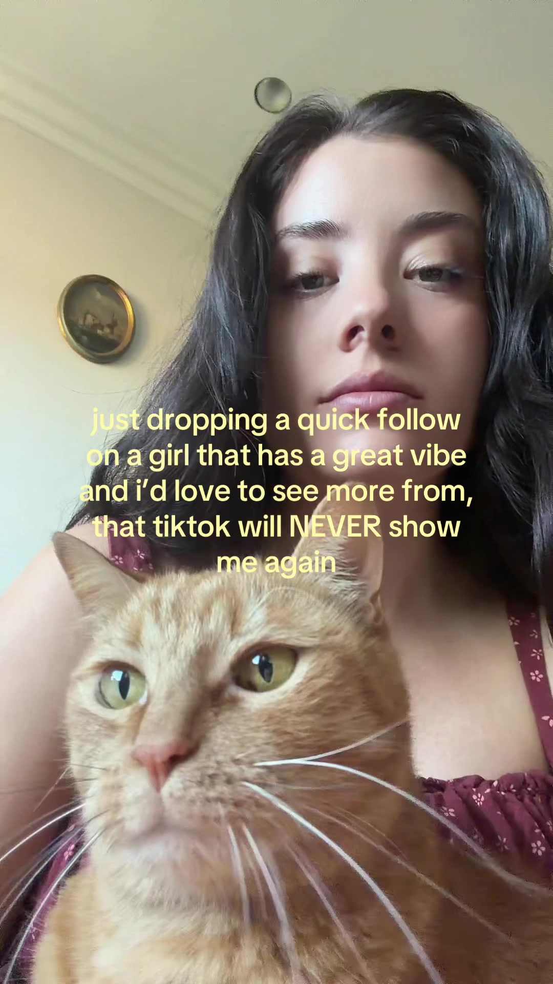 @jdog