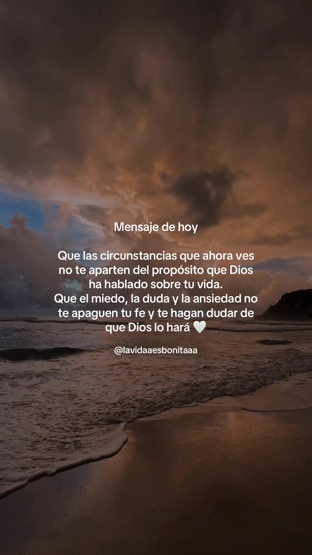 @vidabonita❤️&zwj;🩹
