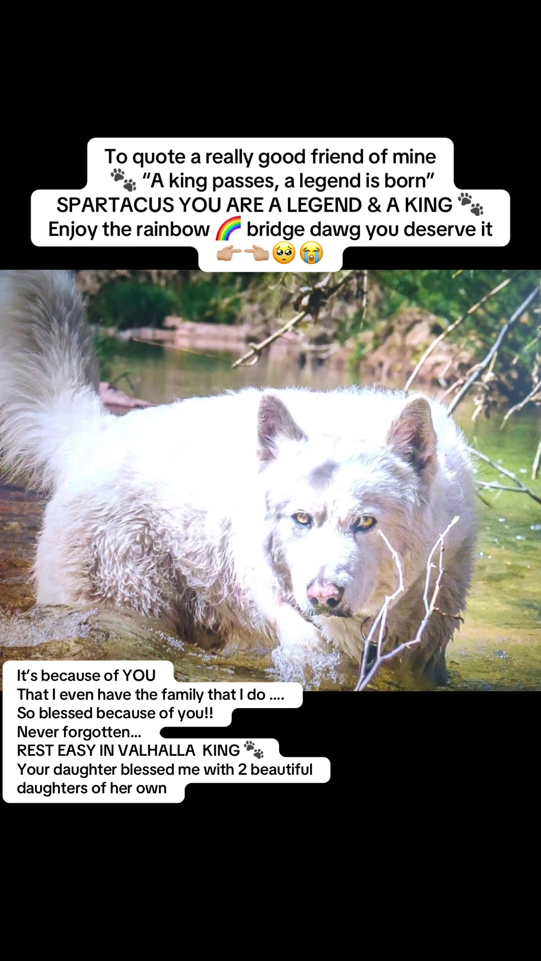 @Blond Wolf novelties