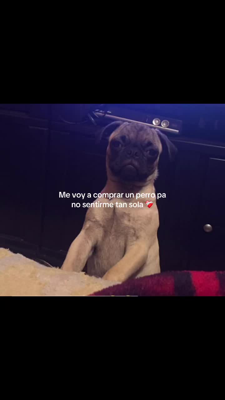 @Claudia JP