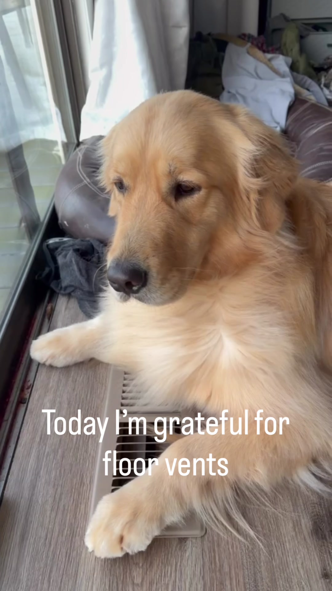 @DogMomisms