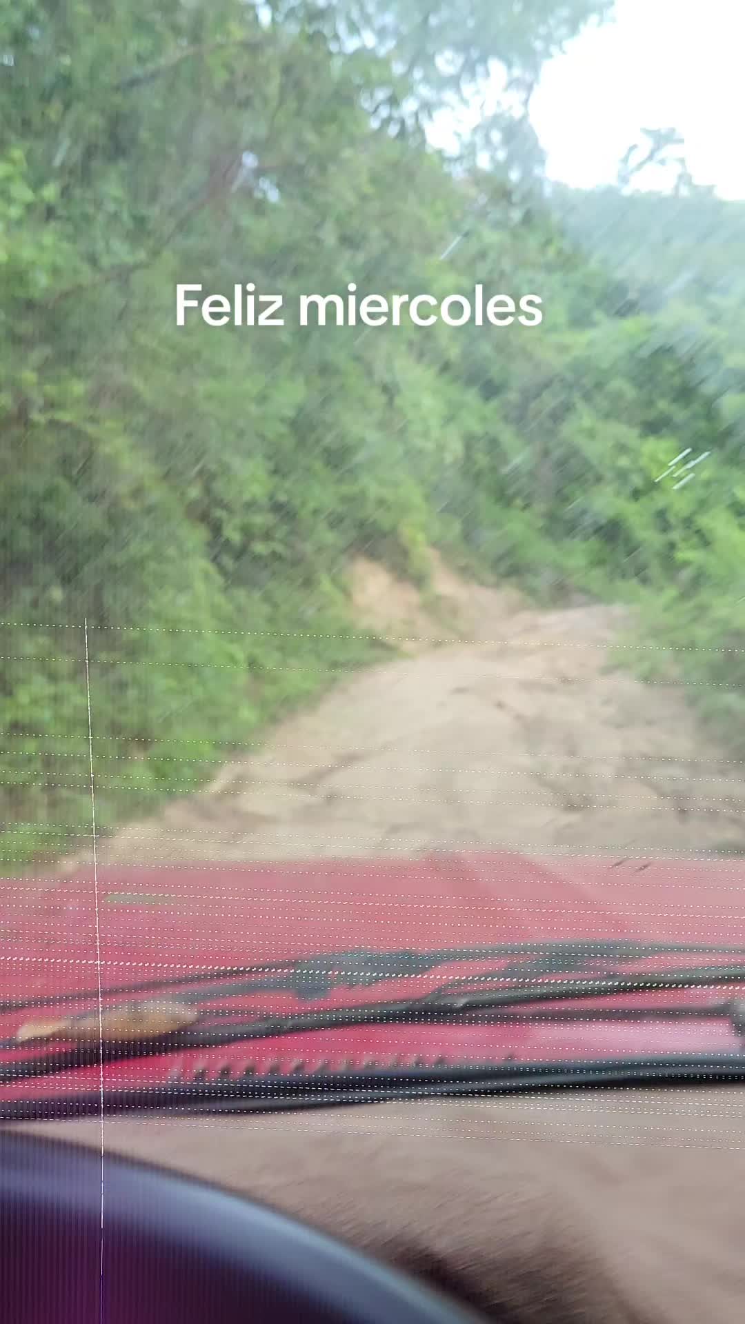 @Maurisio Lopez