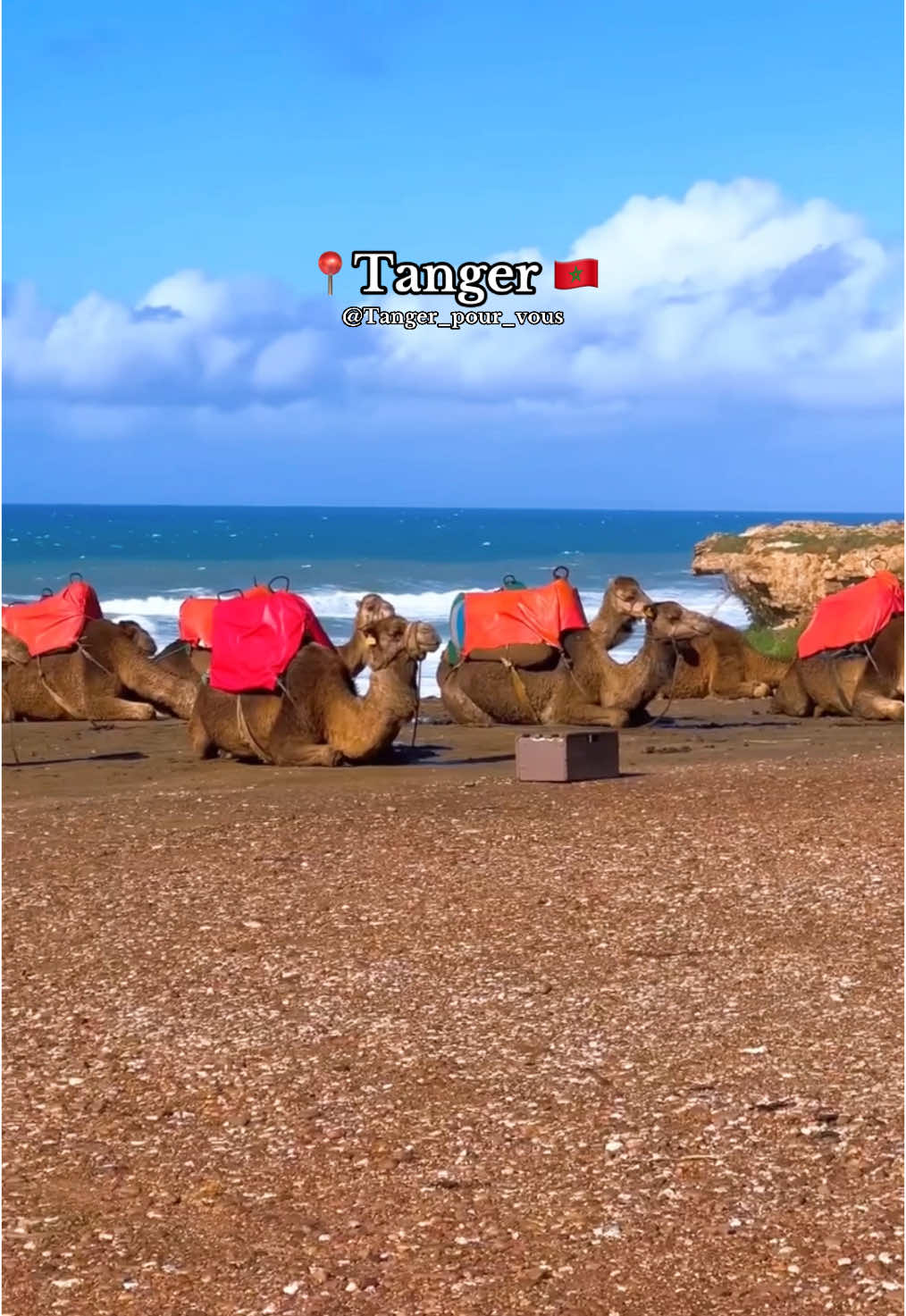 @Tanger_pour_vous ๐ฒ๐ฆ๐ด๐