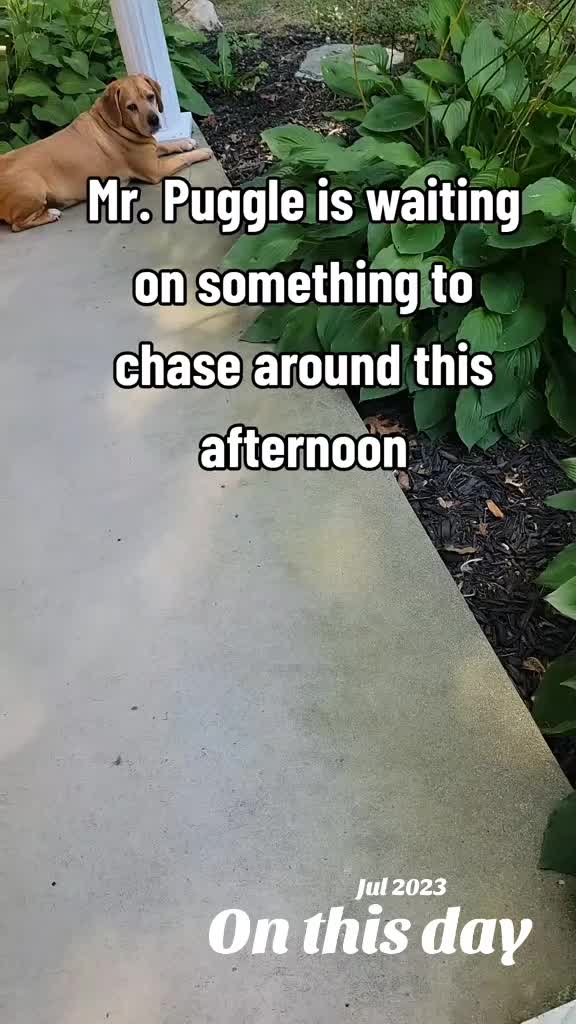 @โ C a r r i e