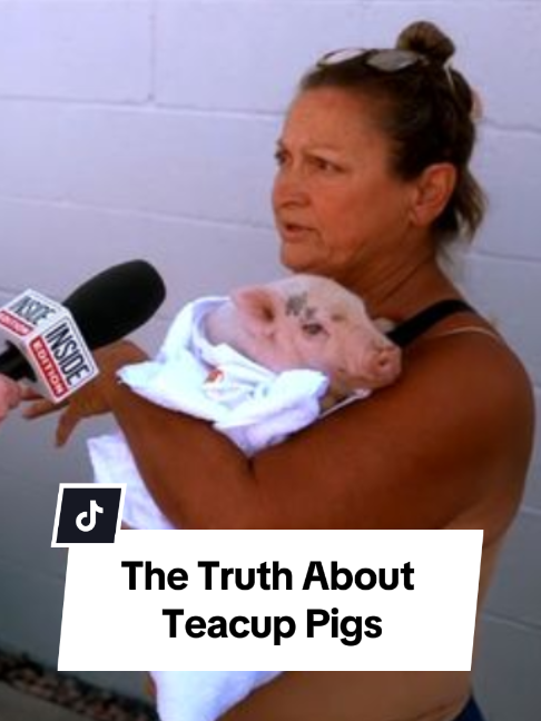 @Inside Edition