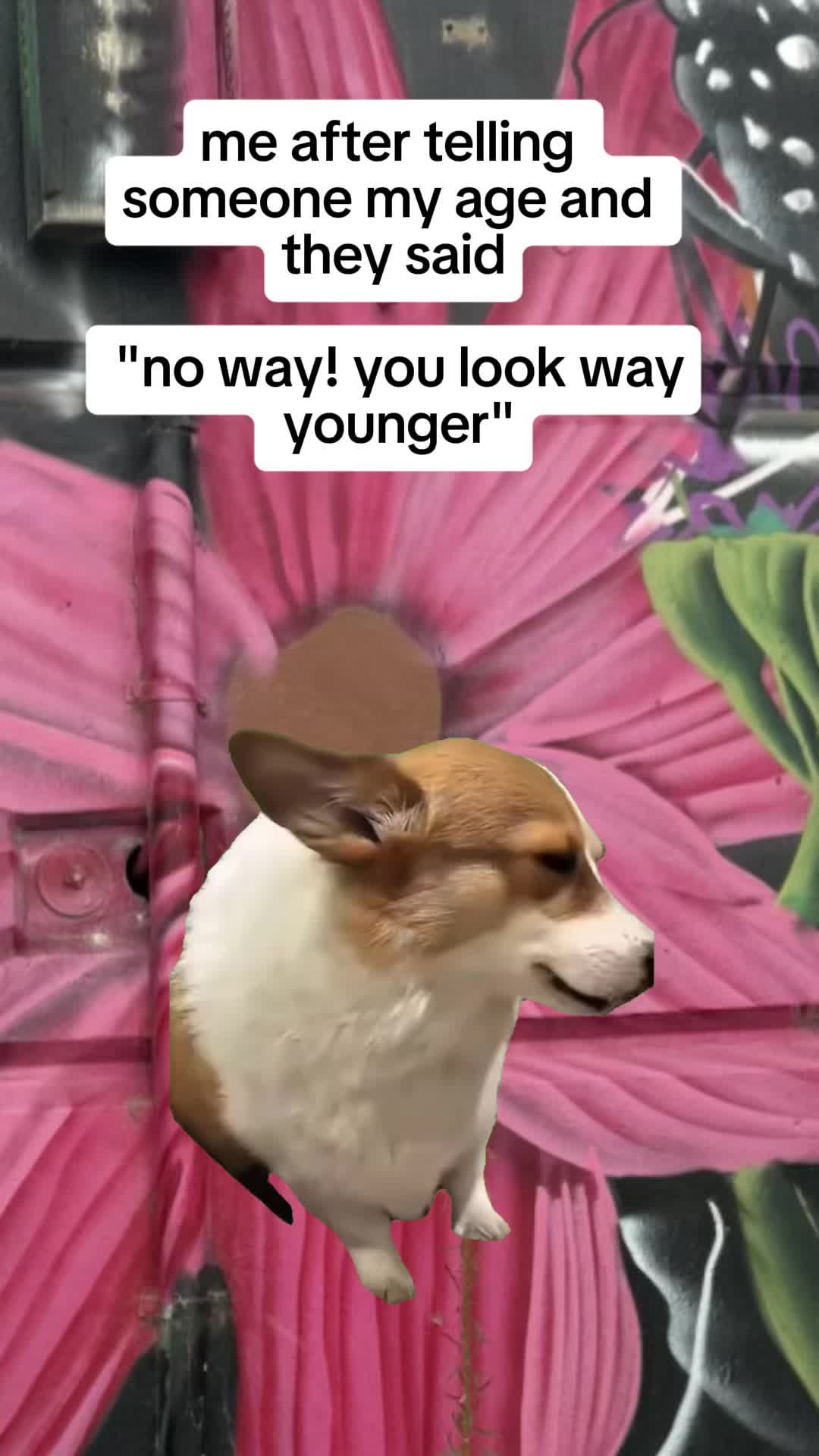 @🫶🏼𝕂𝕚𝕂𝕚🫶🏼