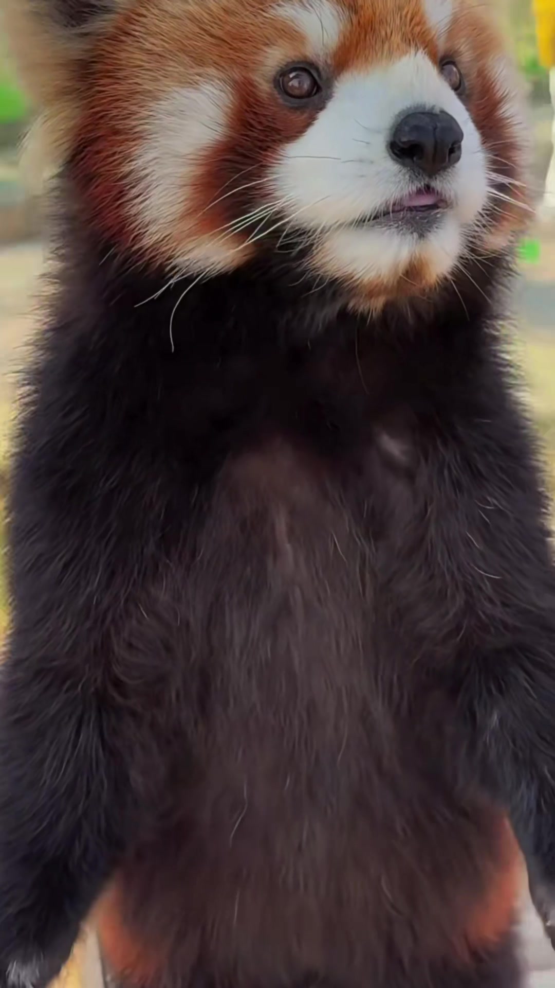 @My Daily Dose of Aww