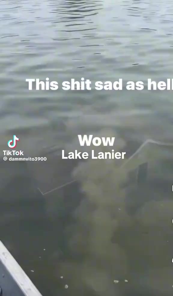 @Dakota Mcdaniel