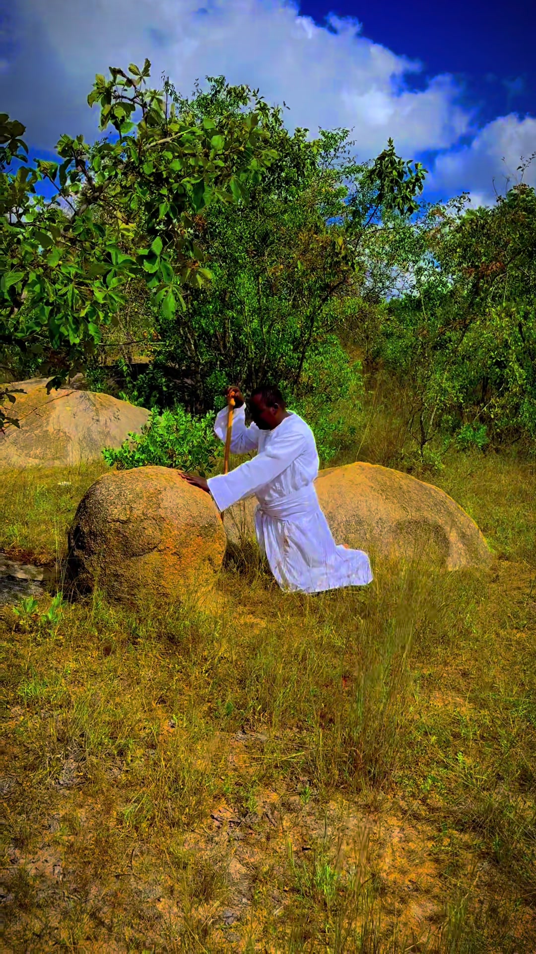 @Tedius Makaza