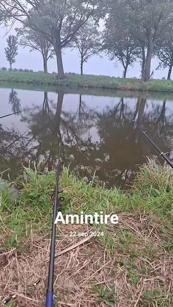 @Alex🇷🇴🇷🇴