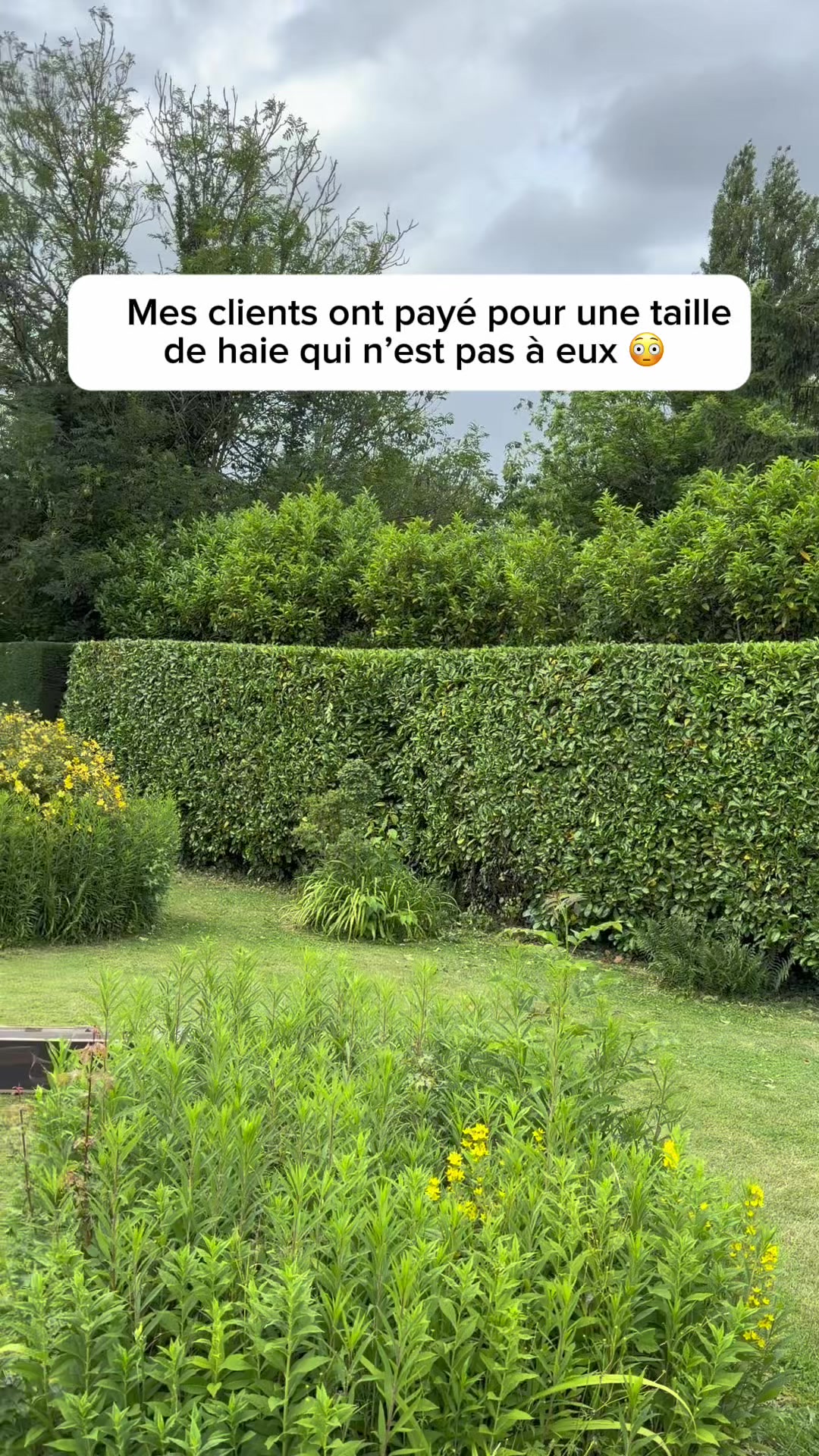 @Steve Le Jardinier
