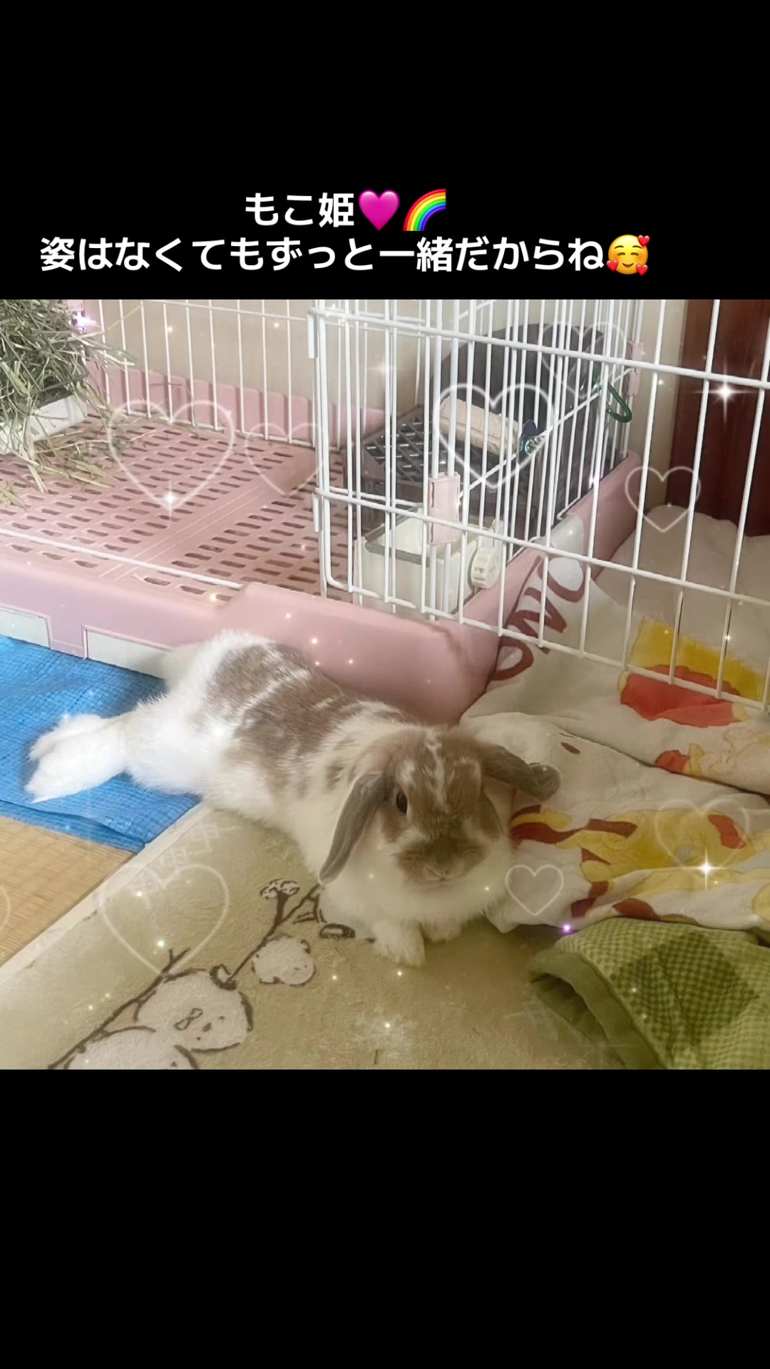 @🐖🧅ちぃ（マロン）🌰🐰🍍