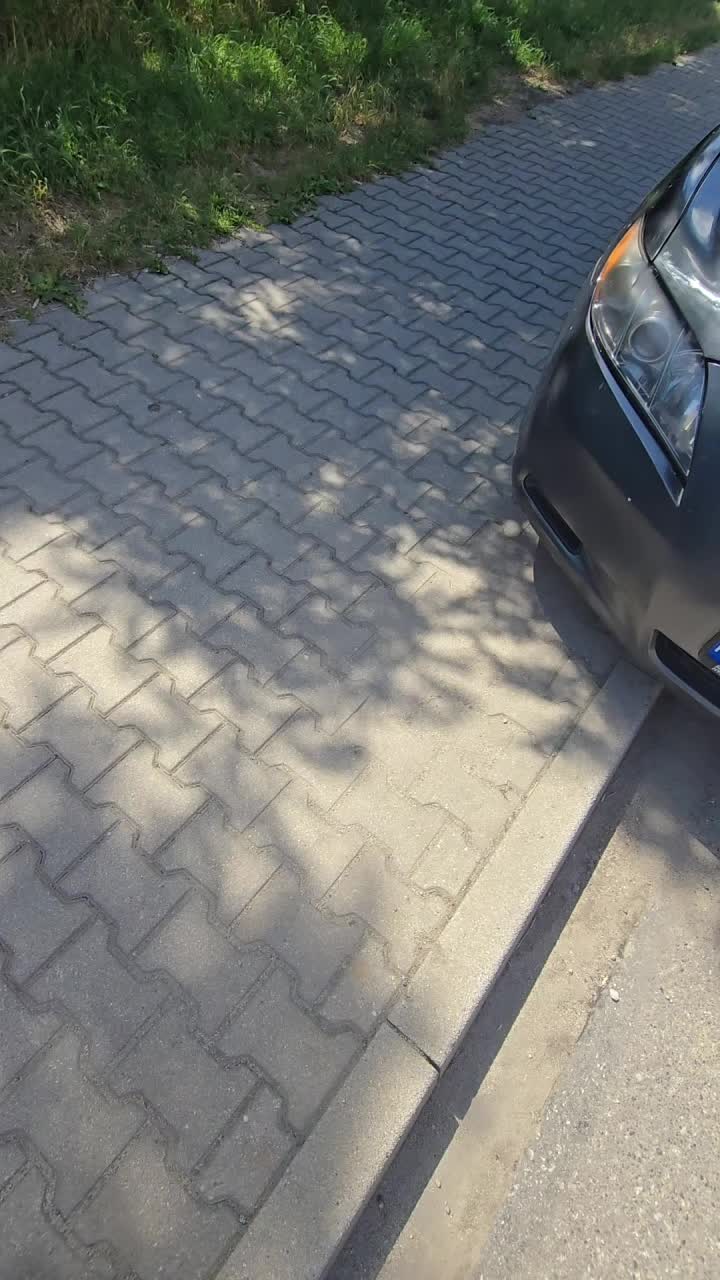 @Arti_Autograf