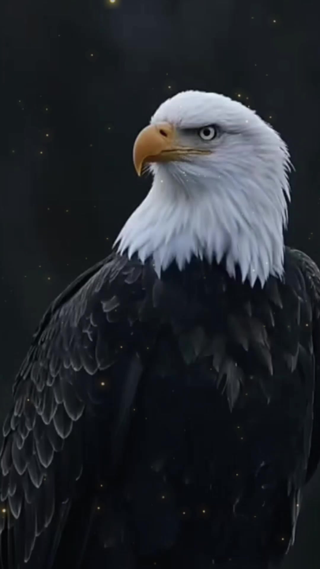 @🦅🦅🌞ANGEWL MOTIVADA🌞🦅🦅