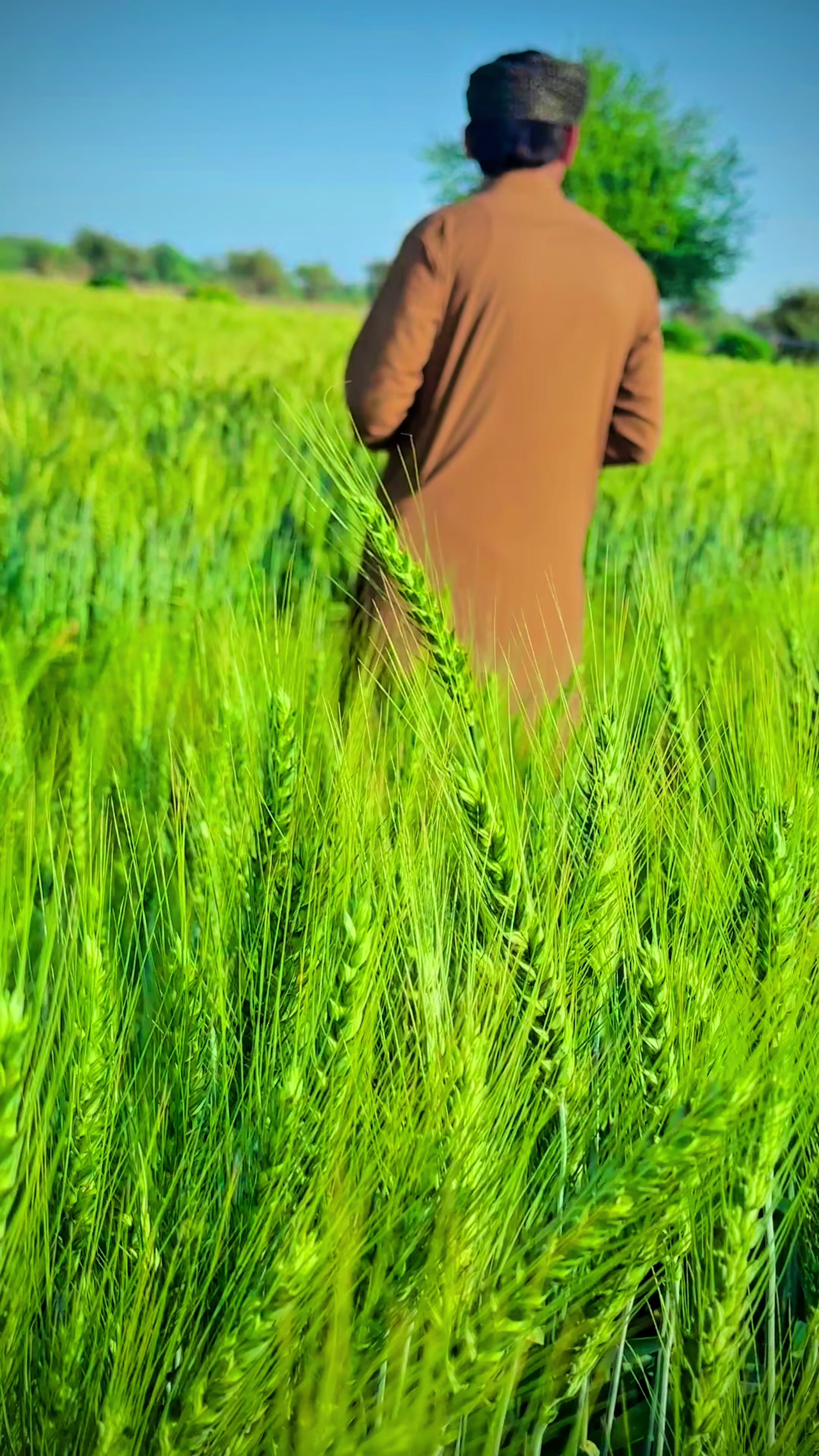 @دلاور نیازی کہتے ہیں 🥷🦅👑😈✅